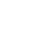 Professional SEO Service icon
