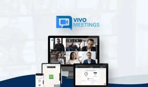 Graphic explaining the target audience and users for VivoMeetings platform