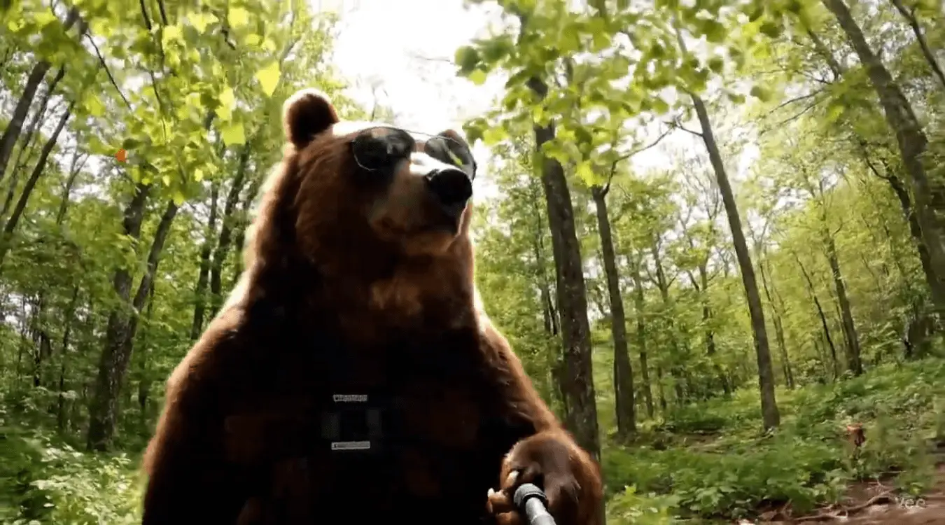 Large fluffy monster walking through a vibrant green forest glade