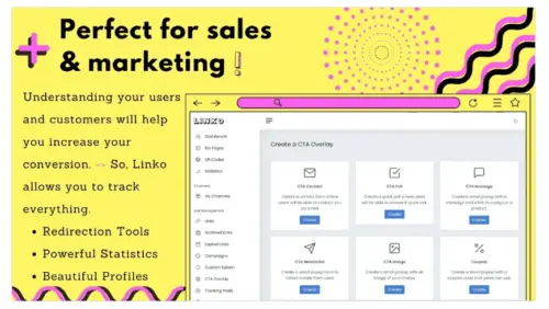 Target audience guide for Linko link tracking software