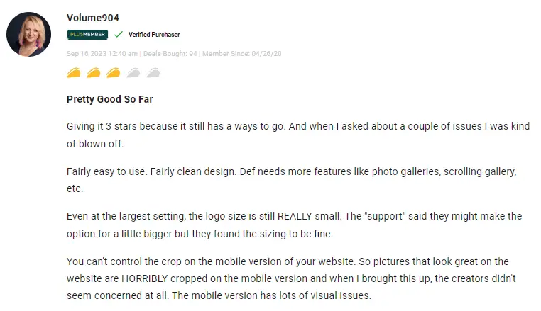 Third user feedback and rating for Vzy website builder